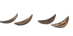 Aperolepel bruin 10 cm x 2,5 cm Coconut
