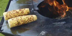 Barbecue Nestor Original Zwart