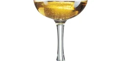 Champagne Coupe 16cl Elegance