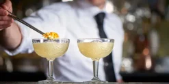 Champagne coupe 25 cl Hobstar Libbey