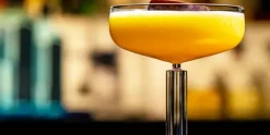 Champagne coupe 29 cl Libbey America