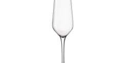 Champagneglas 23 cl Electra