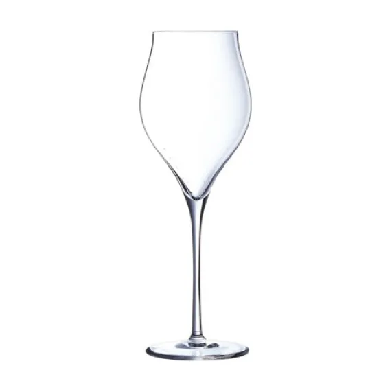 Champagneglas 35 cl set van 6 Exaltation