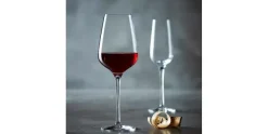 Champagneglas 21 cl Sublym