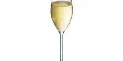 Champagneglas 24 cl Swirly