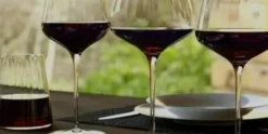 Champagneglas 29 cl Symphony Stolzle