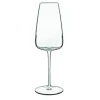 Champagneglas 40 cl Talismano