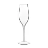 Champagneglas 20 cl Vinea