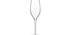 Champagneglas 20 cl Vinea