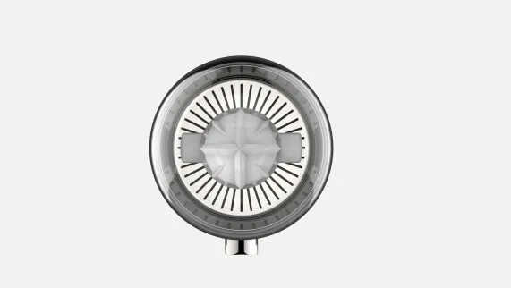 Citruspers Basic RVS Westinghouse