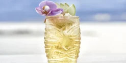 Cocktailglas Tiki 47,3cl