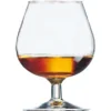 Cognacglas Degustation 25cl