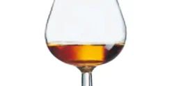 Cognacglas Degustation 25cl