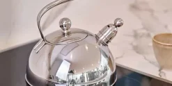 Fluitketel 2,5 L RVS Classic