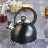 Fluitketel 1,7 L RVS met handvat Zwart