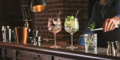 Gin Tonic glazen 76 cl set van 6