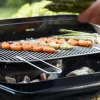 Houtskool Barbecue Loewy 55