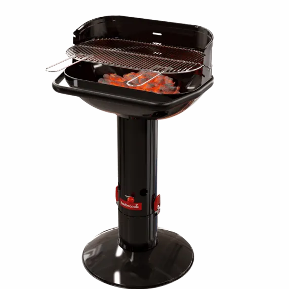 Houtskool Barbecue Loewy 55