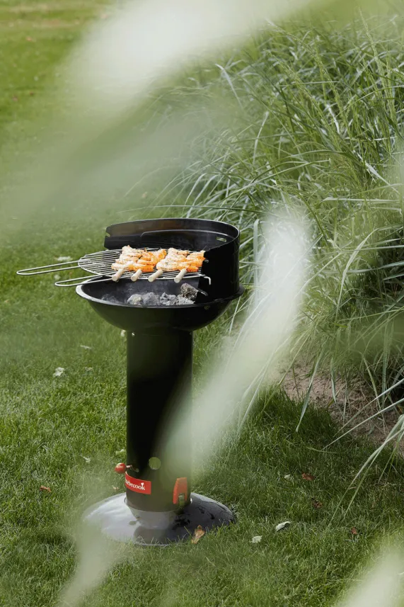 Houtskool Barbecue Loewy 45