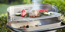 Houtskool Barbecue Loewy RVS 55