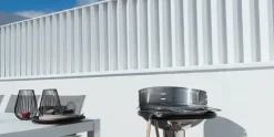 Houtskool Barbecue Loewy 50 RVS