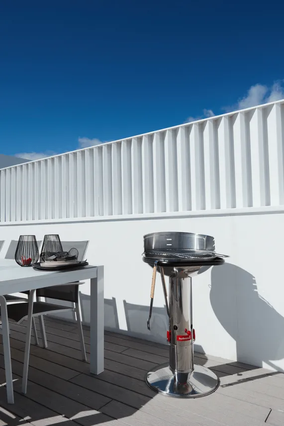 Houtskool Barbecue Loewy 50 RVS