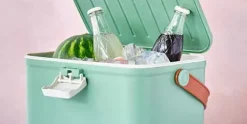 Koelbox Groen Friss 10 liter