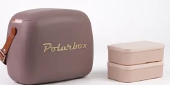 Koelbox met 2 boxen 6 L taupe Coolerbag