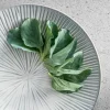 Kom 15 x 7 cm Halo Cloud