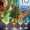 Likeurglas Spirits Rhum 17cl