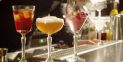 Martini glas 19 cl Spksy