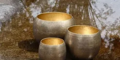 Potten set van 3 goudkleurig