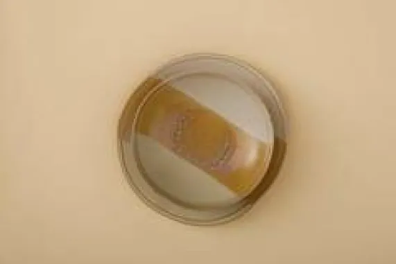 Schaal 15,5 cm Beach