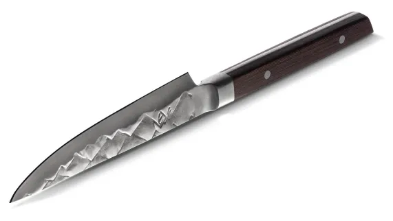 Steakmessen set 5-delig BARE Cookware