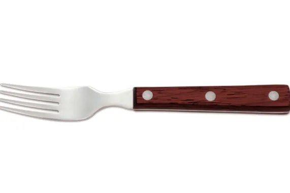 Steakvork bruin handvat Arcos