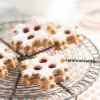 Uitsteekvorm voor 19 Koekjes Sneeuwvlok Lékué