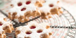 Uitsteekvorm voor 19 Koekjes Sneeuwvlok Lékué