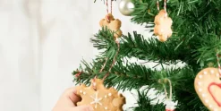 Uitsteekvorm voor 19 Koekjes Sneeuwvlok Lékué