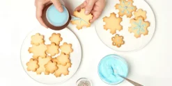 Uitsteekvorm voor 19 Koekjes Sneeuwvlok Lékué