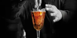 Wijnglas 30 cl Hobstar Onis